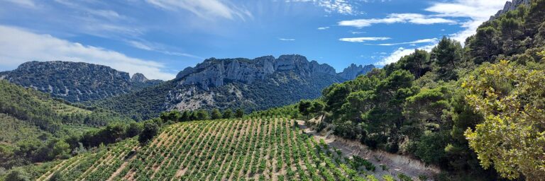 Les plus beaux villages autour du Domaine d’Ailleurs : escapades authentiques en Champagne