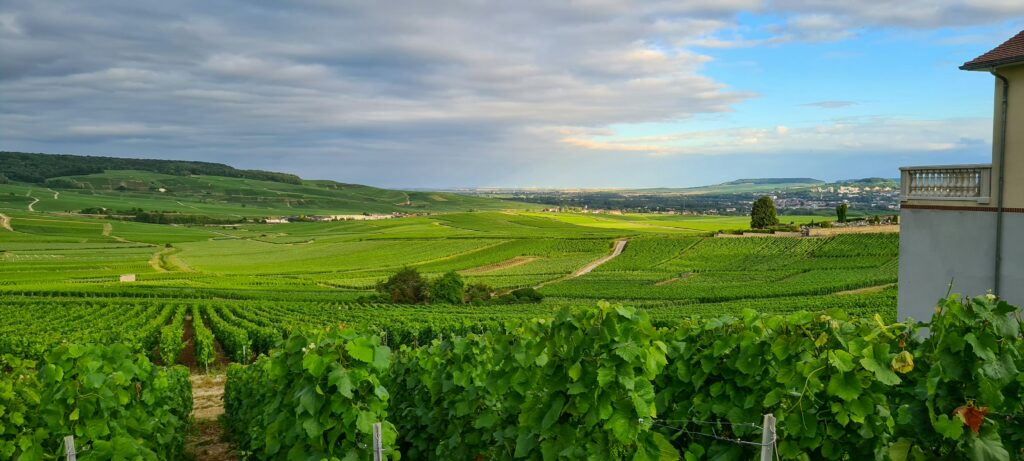 Panorama sur la vallée de la Marne depuis Hautvillers, village de Dom Pérignon en Champagne
