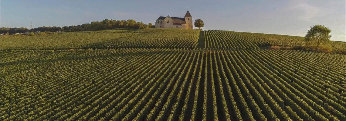 champagne-4997863_1280