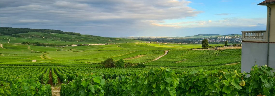 Panorama sur la vallée de la Marne depuis Hautvillers, village de Dom Pérignon en Champagne