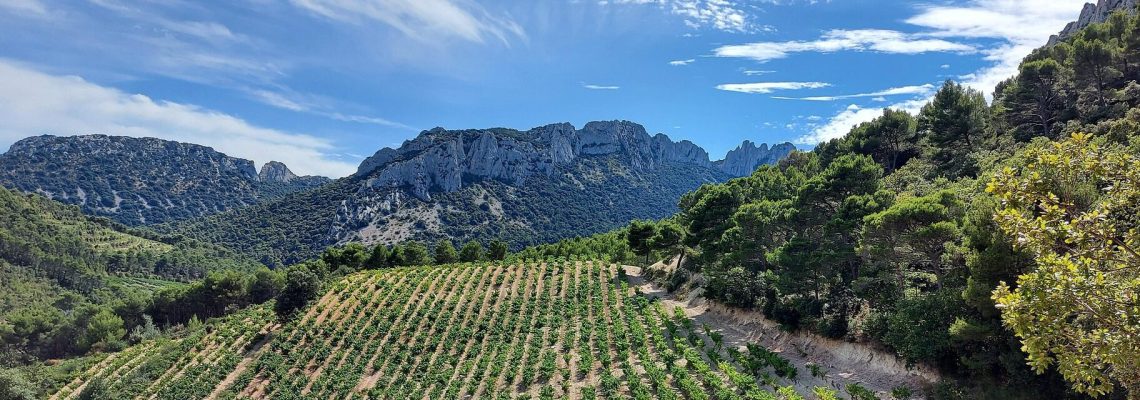 the-dentelles-de-montmirail-5613800_1920